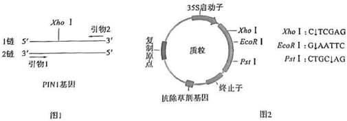 菁優(yōu)網