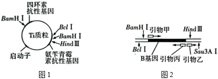 菁優(yōu)網(wǎng)