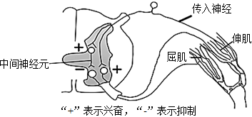 菁優(yōu)網(wǎng)