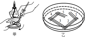 菁優(yōu)網(wǎng)