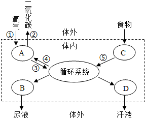 菁優(yōu)網(wǎng)