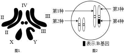 菁優(yōu)網