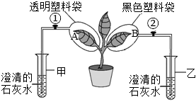 菁優(yōu)網(wǎng)