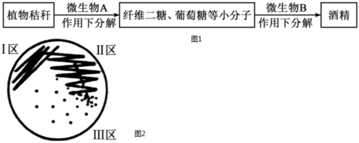 菁優(yōu)網