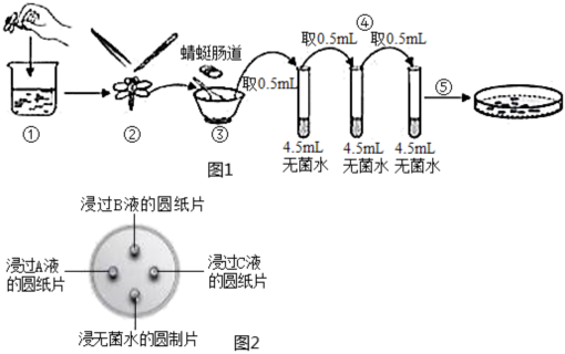 菁優(yōu)網(wǎng)