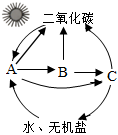 菁優(yōu)網(wǎng)