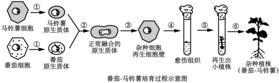 菁優(yōu)網