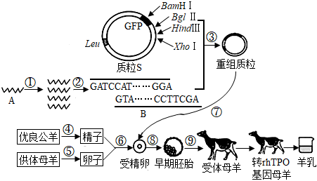 菁優(yōu)網(wǎng)