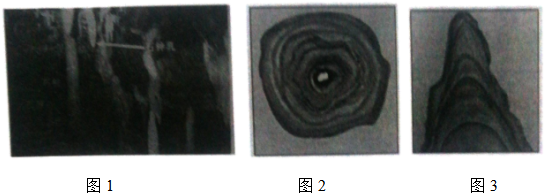 菁優(yōu)網