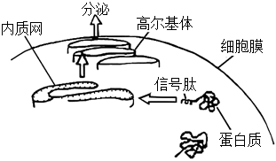 菁優(yōu)網(wǎng)