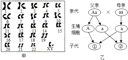 菁優(yōu)網