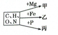 菁優(yōu)網(wǎng)