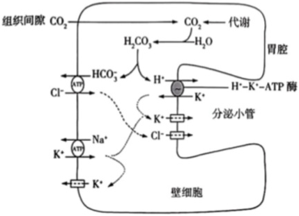 菁優(yōu)網(wǎng)