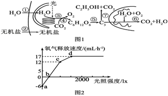 菁優(yōu)網(wǎng)