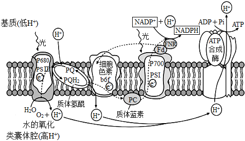 菁優(yōu)網(wǎng)