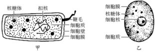 菁優(yōu)網(wǎng)