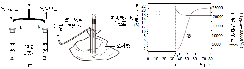 菁優(yōu)網