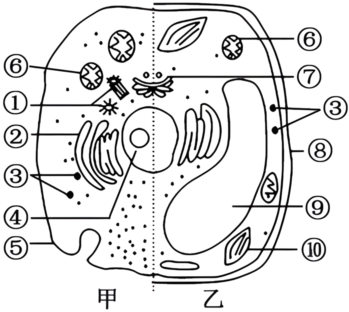 菁優(yōu)網(wǎng)