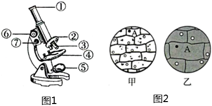 菁優(yōu)網