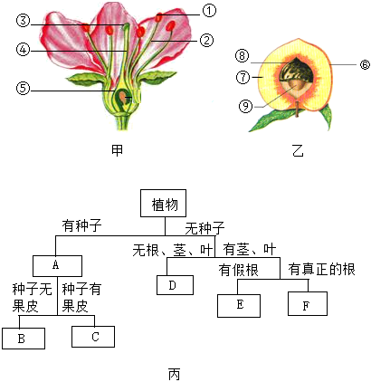 菁優(yōu)網(wǎng)