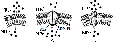 菁優(yōu)網(wǎng)