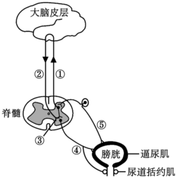 菁優(yōu)網