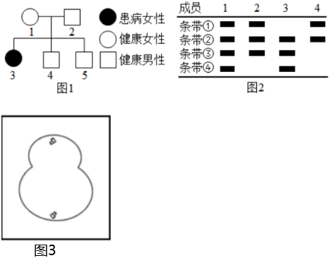 菁優(yōu)網