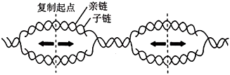 菁優(yōu)網