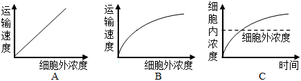 菁優(yōu)網(wǎng)