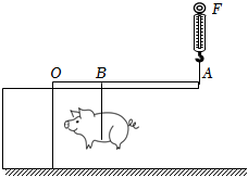 菁優(yōu)網(wǎng)