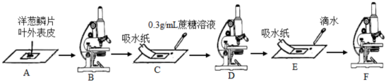 菁優(yōu)網