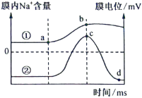 菁優(yōu)網(wǎng)