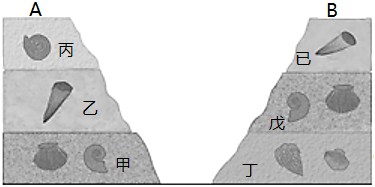 菁優(yōu)網