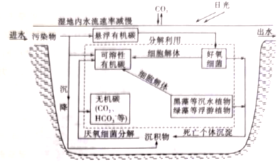 菁優(yōu)網