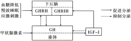 菁優(yōu)網