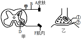 菁優(yōu)網(wǎng)