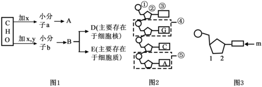 菁優(yōu)網