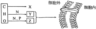 菁優(yōu)網(wǎng)