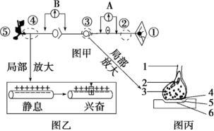 菁優(yōu)網(wǎng)