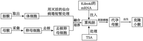 菁優(yōu)網