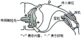 菁優(yōu)網(wǎng)