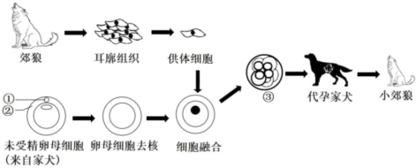 菁優(yōu)網