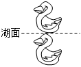 菁優(yōu)網