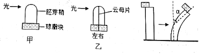 菁優(yōu)網