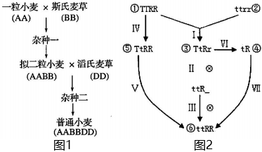 菁優(yōu)網