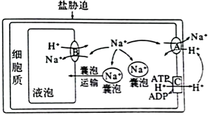 菁優(yōu)網(wǎng)