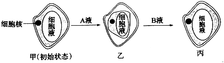 菁優(yōu)網(wǎng)