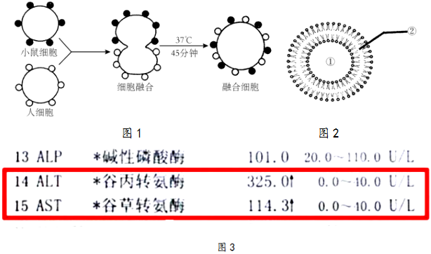 菁優(yōu)網