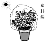 菁優(yōu)網(wǎng)