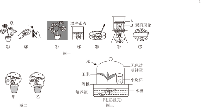 菁優(yōu)網(wǎng)